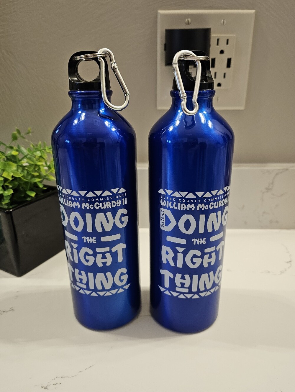 Blue Stainless Steel Water Bottles with Carabiner - Doing the Right Thing